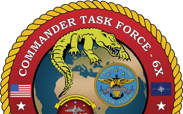 Command Task Force 6X Logo