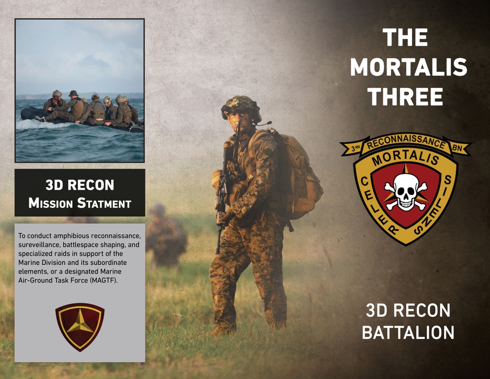 3d Reconnaissance Battalion Mortalis Three Pamphlet