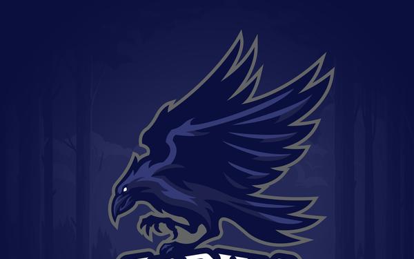 821st CRG Crows emblem