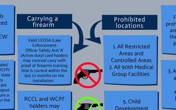 Firearm Safety and Security