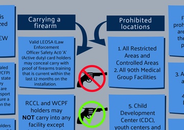 Firearm Safety and Security