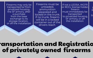 Firearm Safety and Security