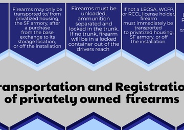 Firearm Safety and Security