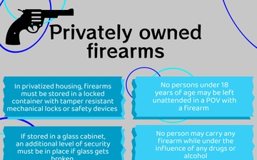 Firearm Safety and Security