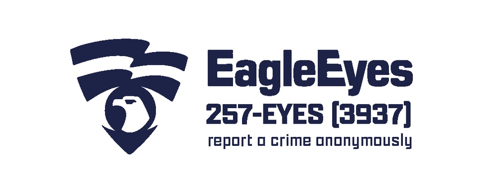 Eagle Eyes Streamer Web Icon