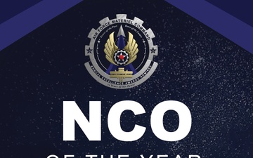 AEA Non-Commissioned Officer of the Year Board