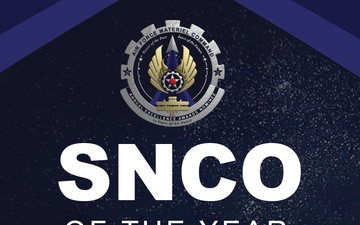 AEA Senior Non-Commissioned Officer of the Year Board