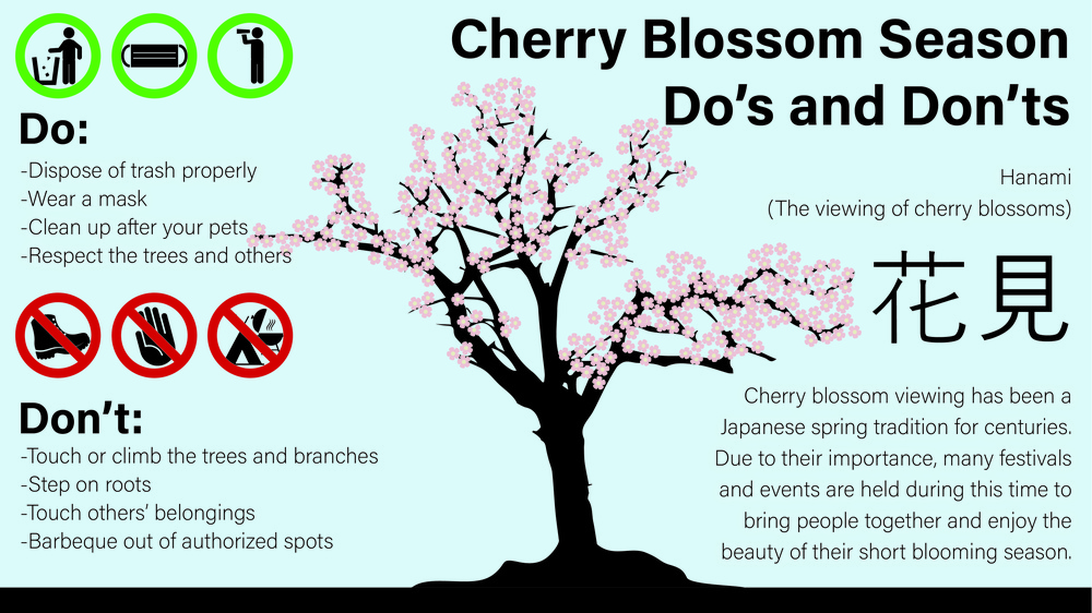 Cherry Blossom season courtesies