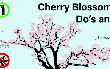 Cherry Blossom season courtesies