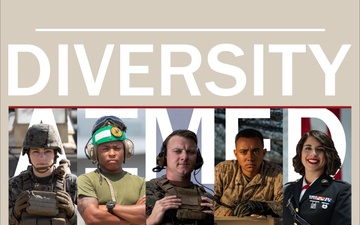 Diversity AIMED Officer Program Poster