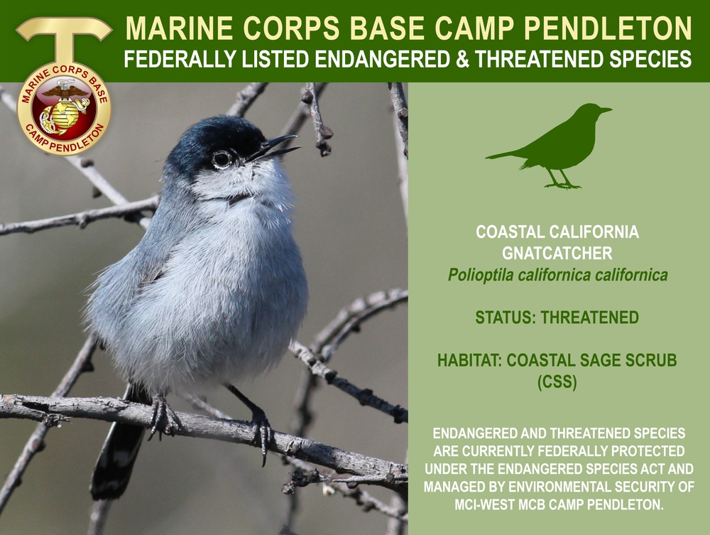 Camp Pendleton Endangered &amp; Threatened Species 2022