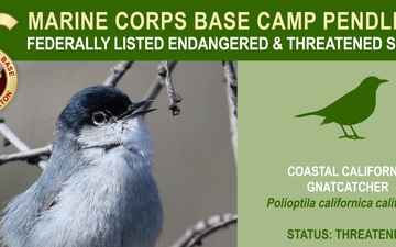 Camp Pendleton Endangered &amp; Threatened Species 2022