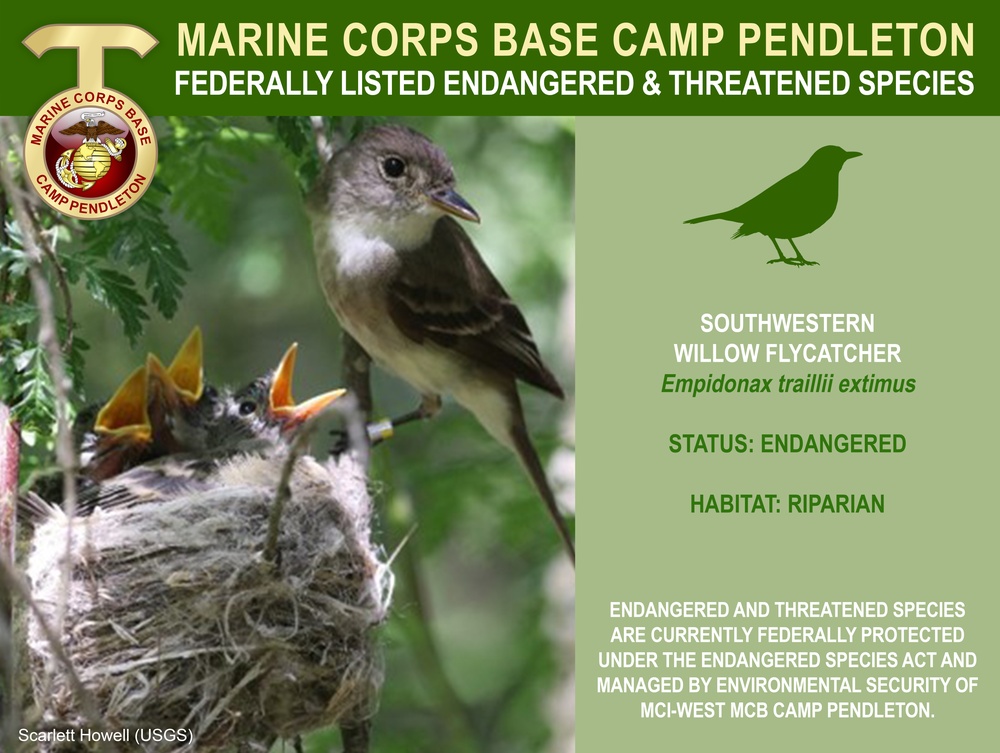 Camp Pendleton Endangered &amp; Threatened Species 2022