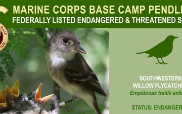 Camp Pendleton Endangered &amp; Threatened Species 2022