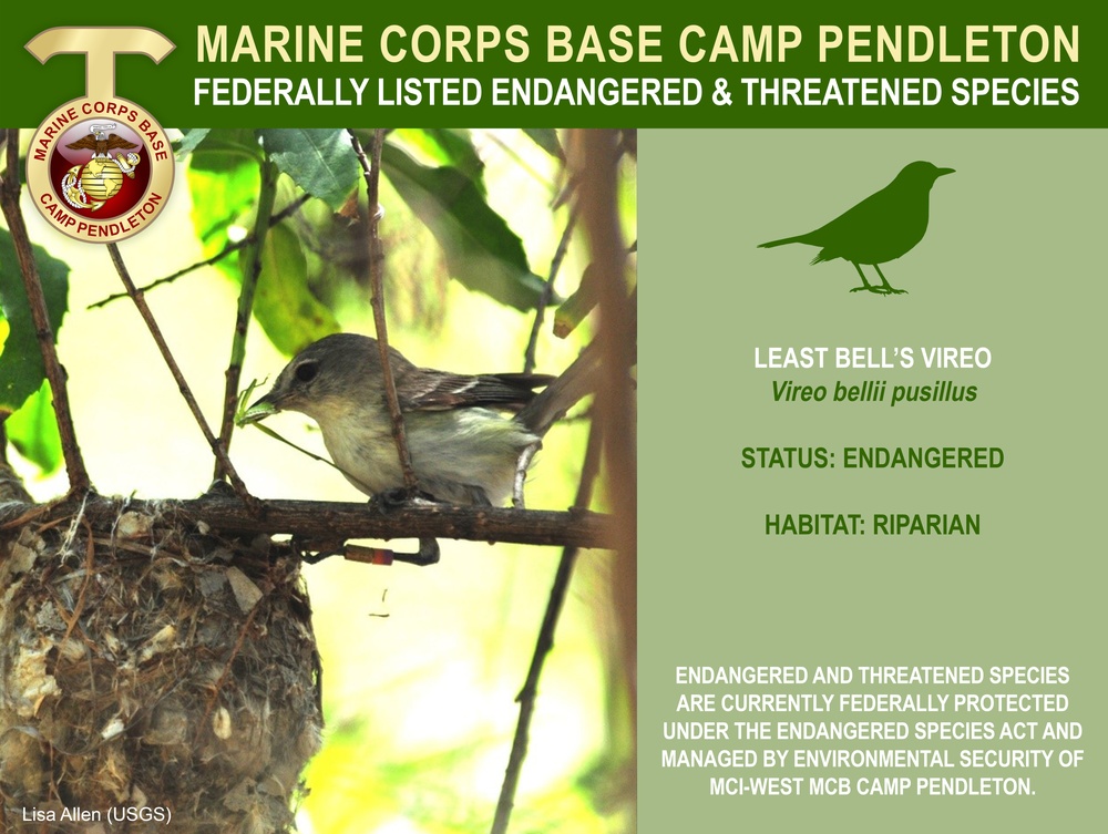 Camp Pendleton Endangered &amp; Threatened Species 2022