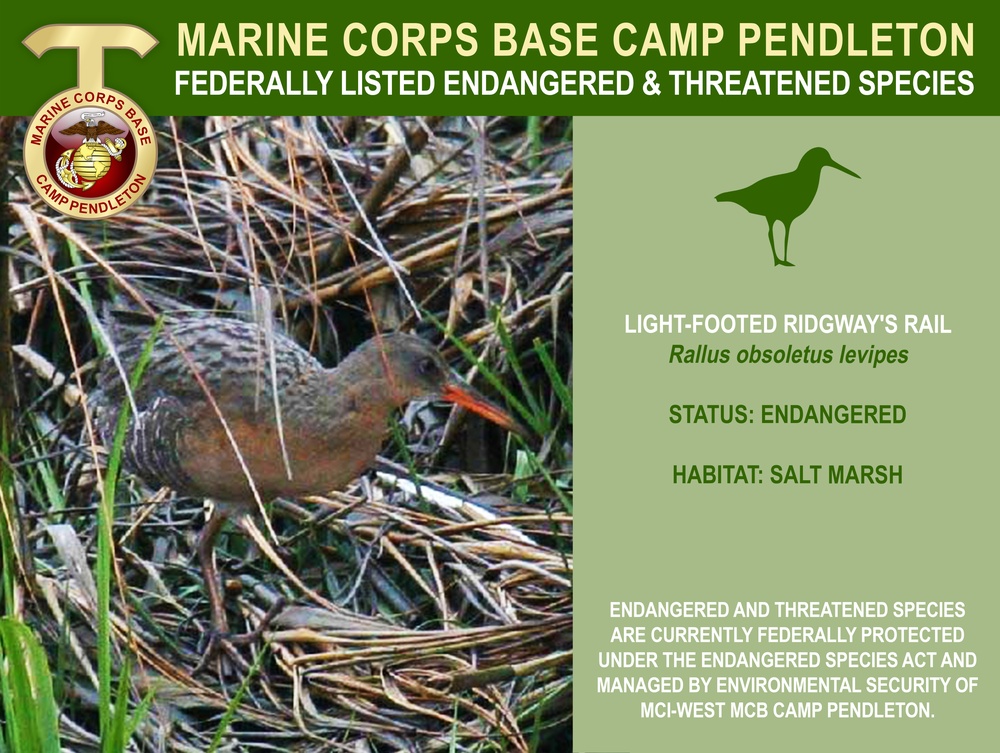 Camp Pendleton Endangered &amp; Threatened Species 2022