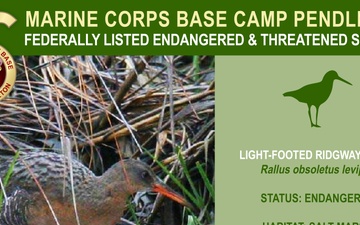 Camp Pendleton Endangered &amp; Threatened Species 2022