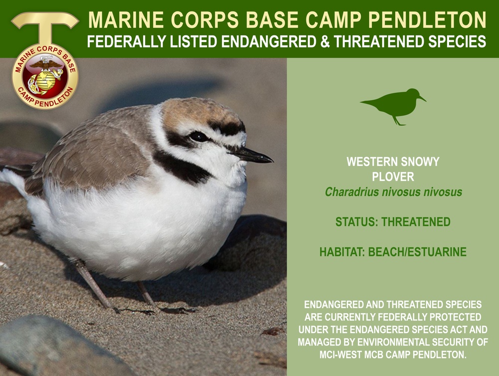 Camp Pendleton Endangered &amp; Threatened Species 2022