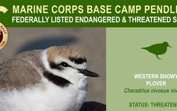 Camp Pendleton Endangered &amp; Threatened Species 2022