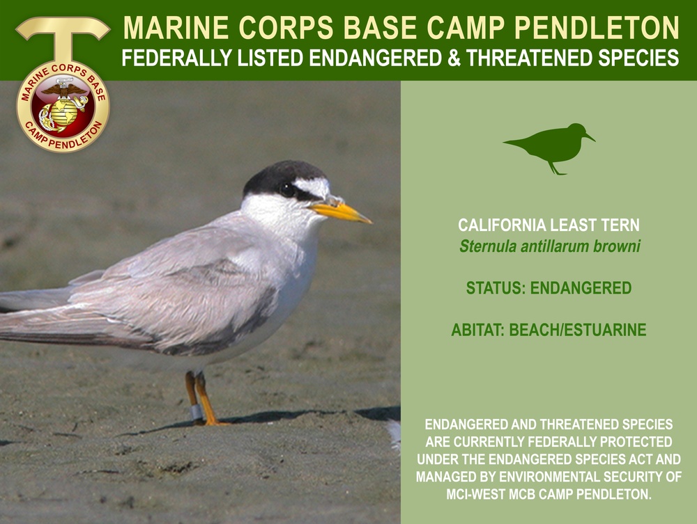 Camp Pendleton Endangered &amp; Threatened Species 2022