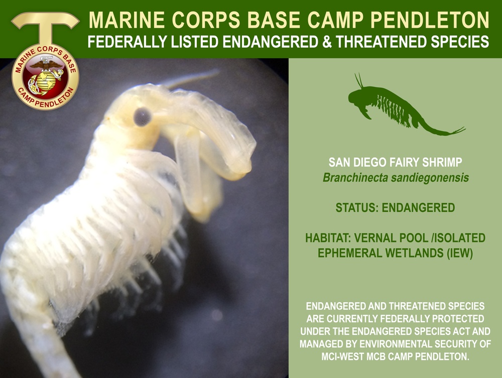 Camp Pendleton Endangered &amp; Threatened Species 2022