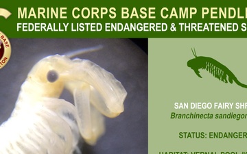 Camp Pendleton Endangered &amp; Threatened Species 2022