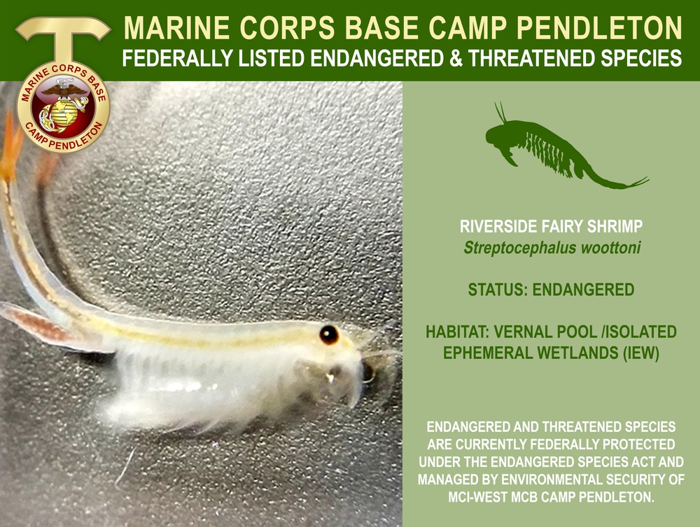 Camp Pendleton Endangered &amp; Threatened Species 2022