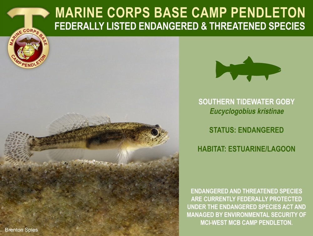 Camp Pendleton Endangered &amp; Threatened Species 2022