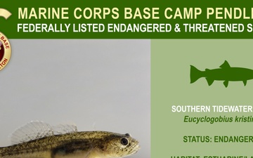 Camp Pendleton Endangered &amp; Threatened Species 2022