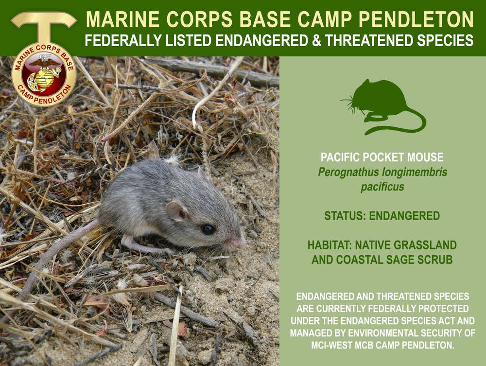 Camp Pendleton Endangered &amp; Threatened Species 2022