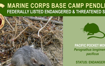 Camp Pendleton Endangered &amp; Threatened Species 2022