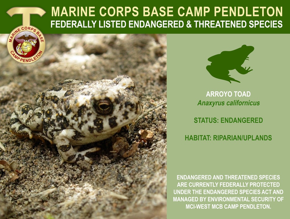 Camp Pendleton Endangered &amp; Threatened Species 2022