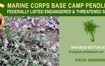 Camp Pendleton Endangered &amp; Threatened Species 2022