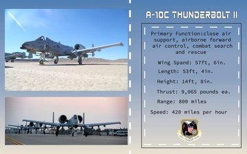 Agile Tiger Exercise Aircraft A-10 Face Cards