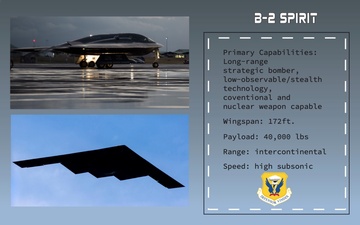 Agile Tiger Exercise Aircraft B-2 Face Card