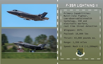 Agile Tiger Exercise Aircraft  F-35 Face Card