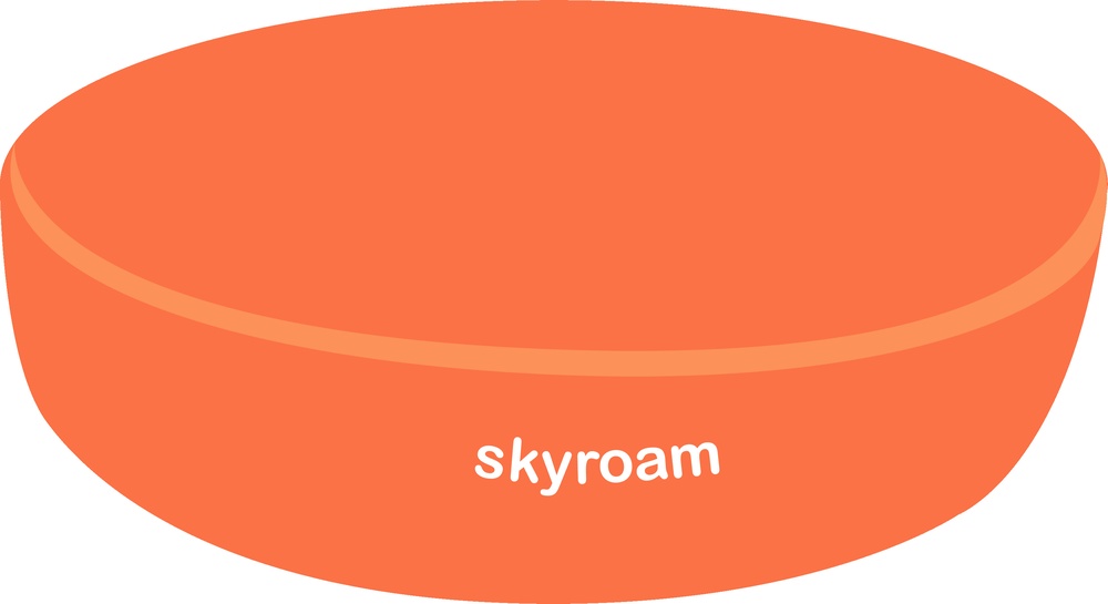 Skyroam Hotspot