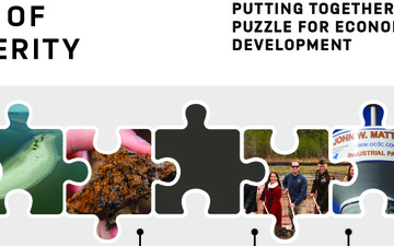 Pieces of prosperity: putting together the puzzle for economic development