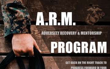 Adversity Recovery and Mentorship program