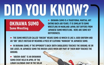 Okinawa Sumo | Okinawa 50th Reversion Graphics