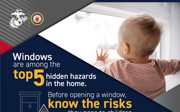 Window Safety Flyer