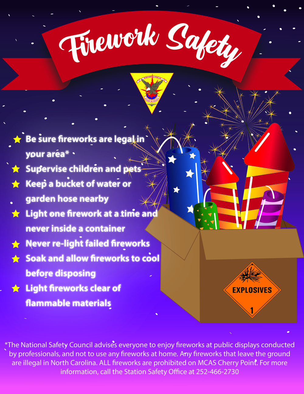 Firework Safety