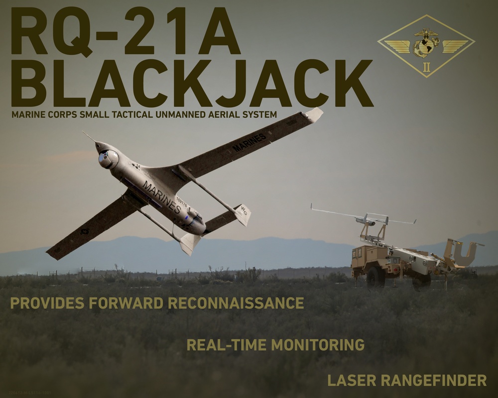 RQ-21A Blackjack