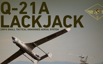 RQ-21A Blackjack