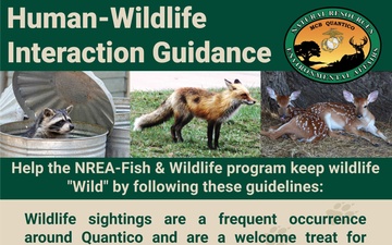 Human-Wildlife Interaction Guidance1