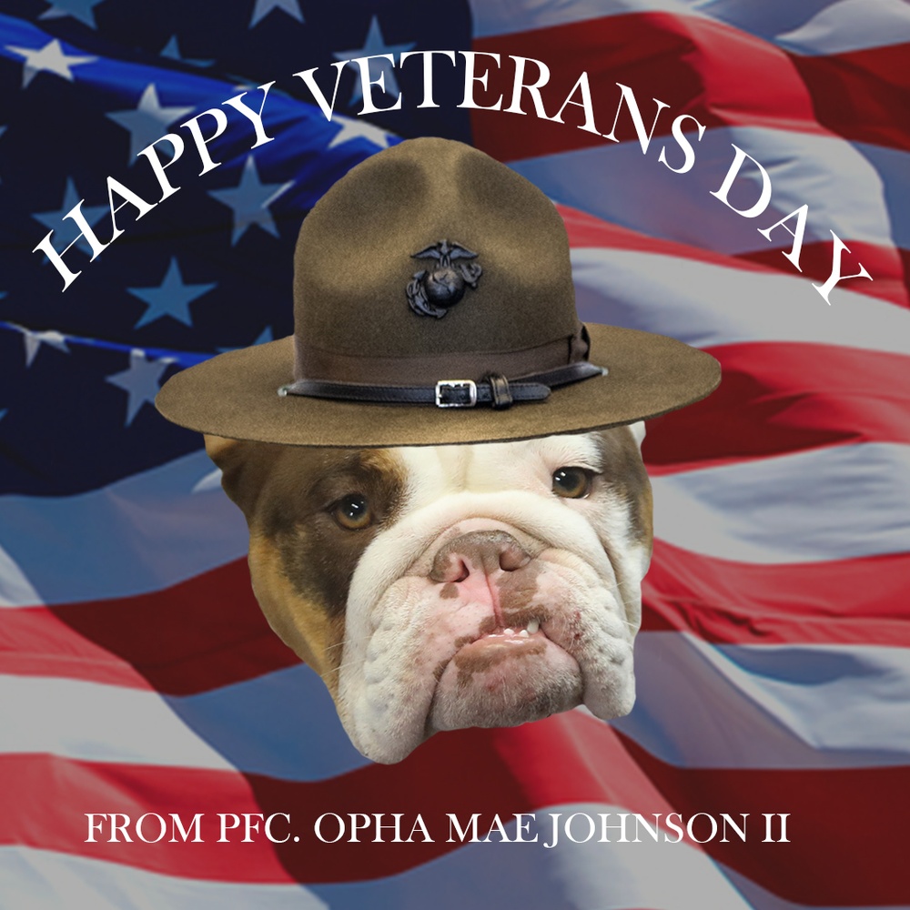 Opha Mae&amp;#39;s Veteran&amp;#39;s Day Message