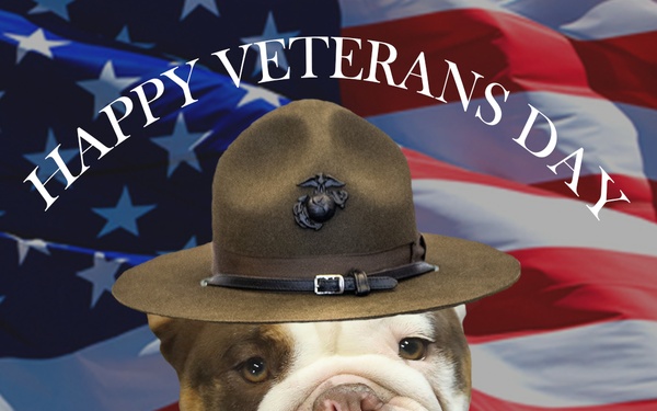 Opha Mae&amp;#39;s Veteran&amp;#39;s Day Message