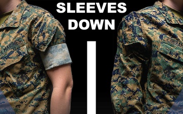 MCRD Parris Island Sleeves Down Graphic