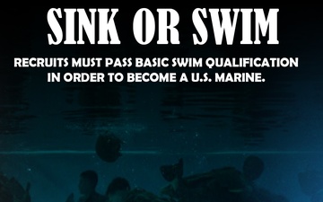 Sink or Swim