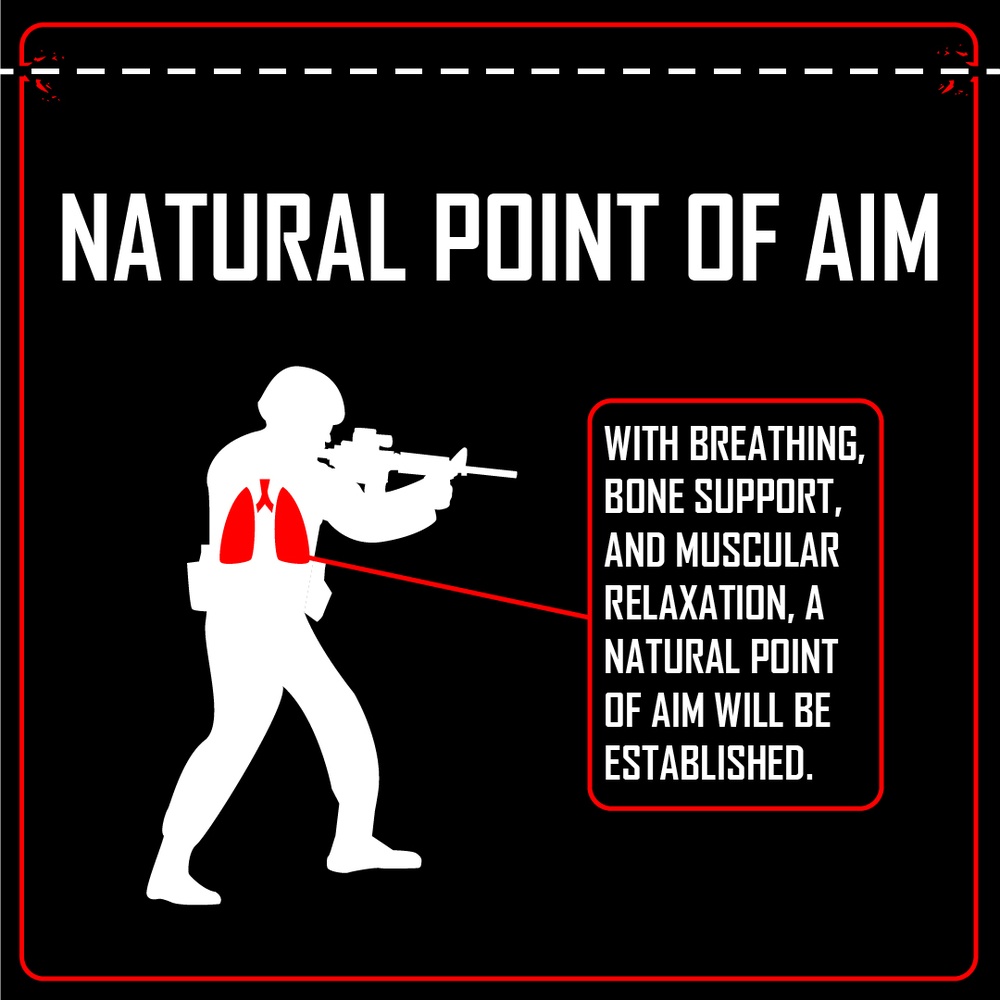 Fundamentals of Marksmanship Infographic